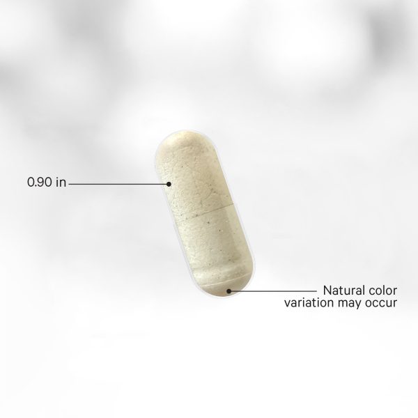 Amen SBO Probiotic Discount - Image 4